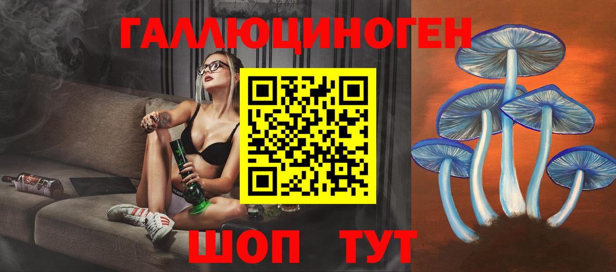 Нарткала  Галлюциногенные грибы Psilocybine cubensis  Вход с VPN 